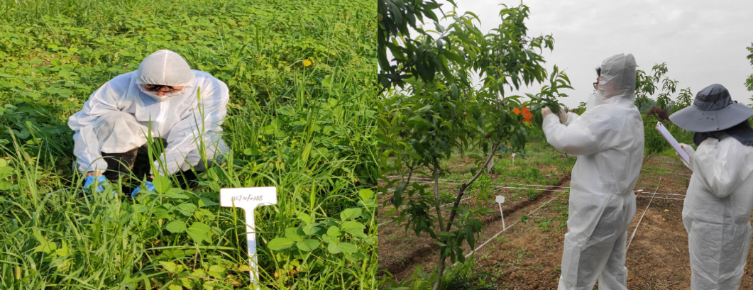 不朽情缘MG官方网站(试玩)游戏登录入口