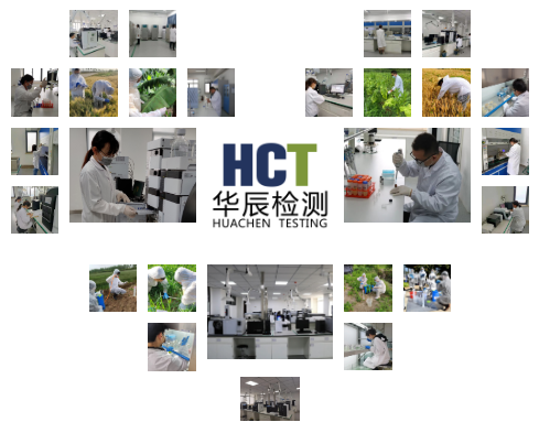 不朽情缘MG官方网站(试玩)游戏登录入口
