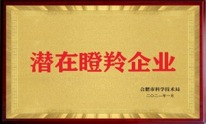 关于不朽情缘-不朽情缘
