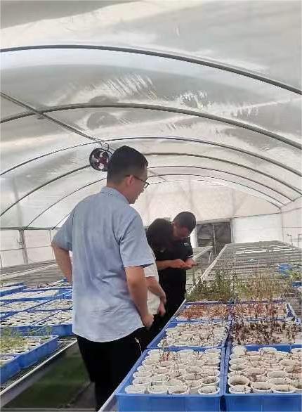 不朽情缘MG官方网站(试玩)游戏登录入口