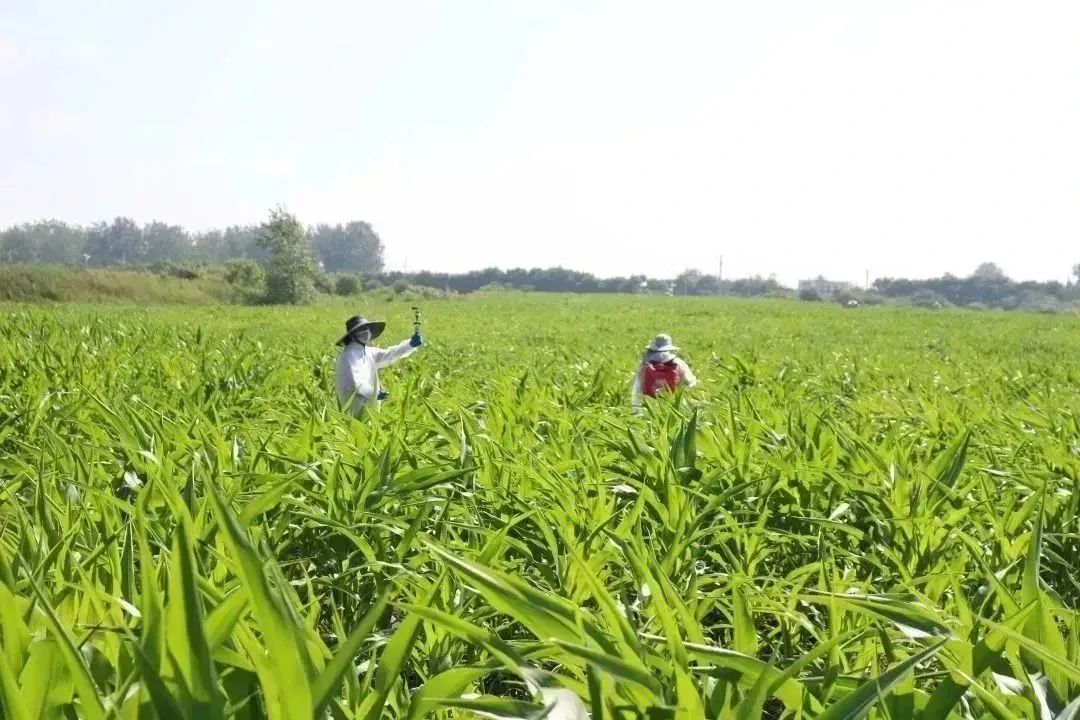 不朽情缘MG官方网站(试玩)游戏登录入口