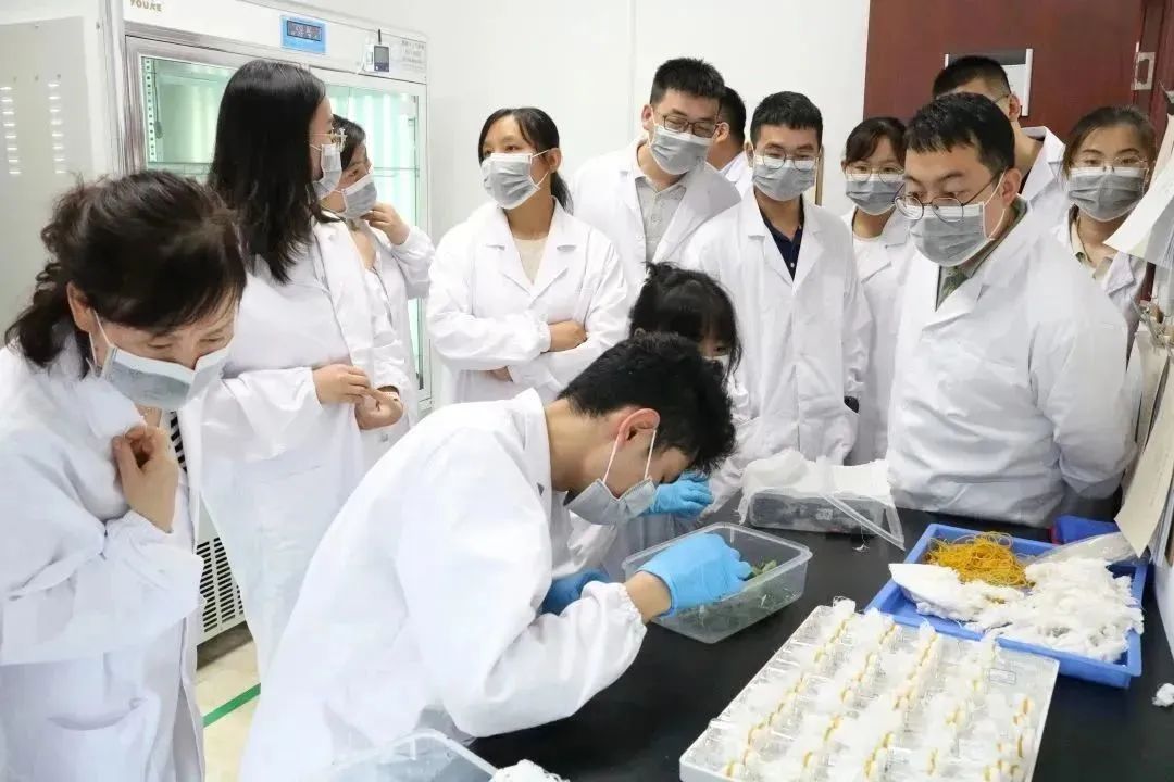 不朽情缘MG官方网站(试玩)游戏登录入口