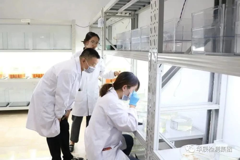不朽情缘MG官方网站(试玩)游戏登录入口