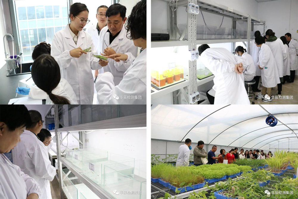 不朽情缘MG官方网站(试玩)游戏登录入口