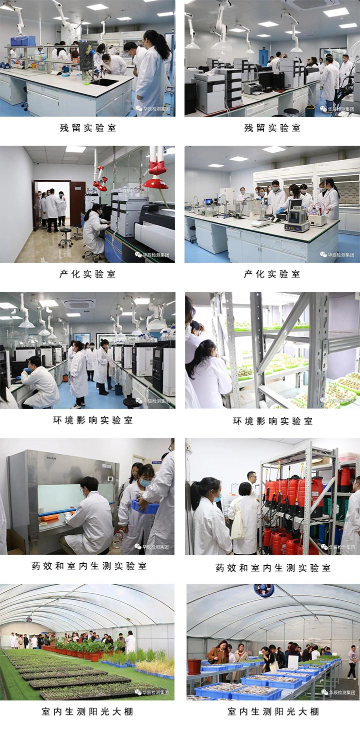 不朽情缘检测乐成举行农药挂号试验手艺分享交流现场会（第四期）-企业新闻-不朽情缘