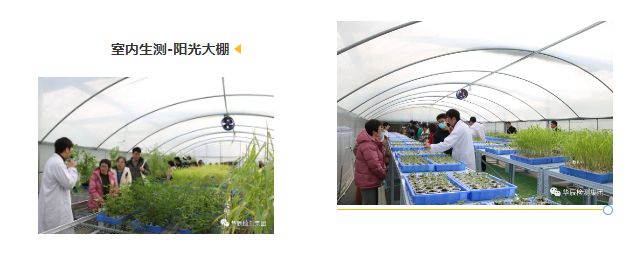 不朽情缘检测乐成举行农药挂号试验手艺分享交流现场会（第五期）-企业新闻-不朽情缘
