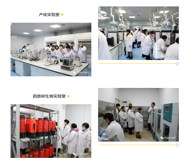 不朽情缘检测乐成举行农药挂号试验手艺分享交流现场会（第五期）-企业新闻-不朽情缘