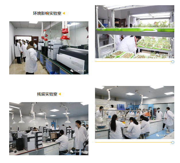 不朽情缘检测乐成举行农药挂号试验手艺分享交流现场会（第五期）-企业新闻-不朽情缘