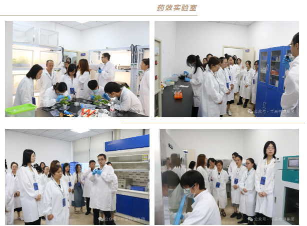 不朽情缘乐成举行第七期农药挂号试验手艺分享交流现场会，，，，，，深化行业相助与手艺立异-企业新闻-不朽情缘