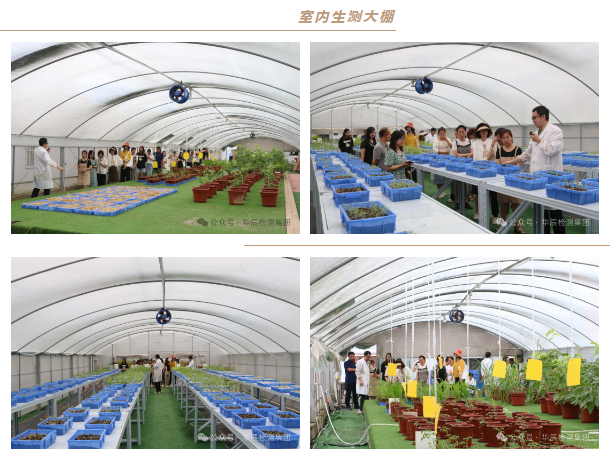 不朽情缘乐成举行第七期农药挂号试验手艺分享交流现场会，，，，，，深化行业相助与手艺立异-企业新闻-不朽情缘