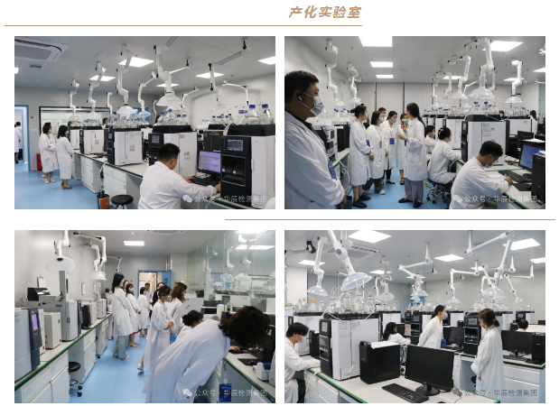 不朽情缘乐成举行第七期农药挂号试验手艺分享交流现场会，，，，，，深化行业相助与手艺立异-企业新闻-不朽情缘