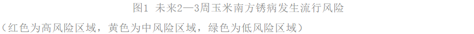 【关注】小心玉米南方锈病在黄淮海地区暴发盛行-行业动态-不朽情缘