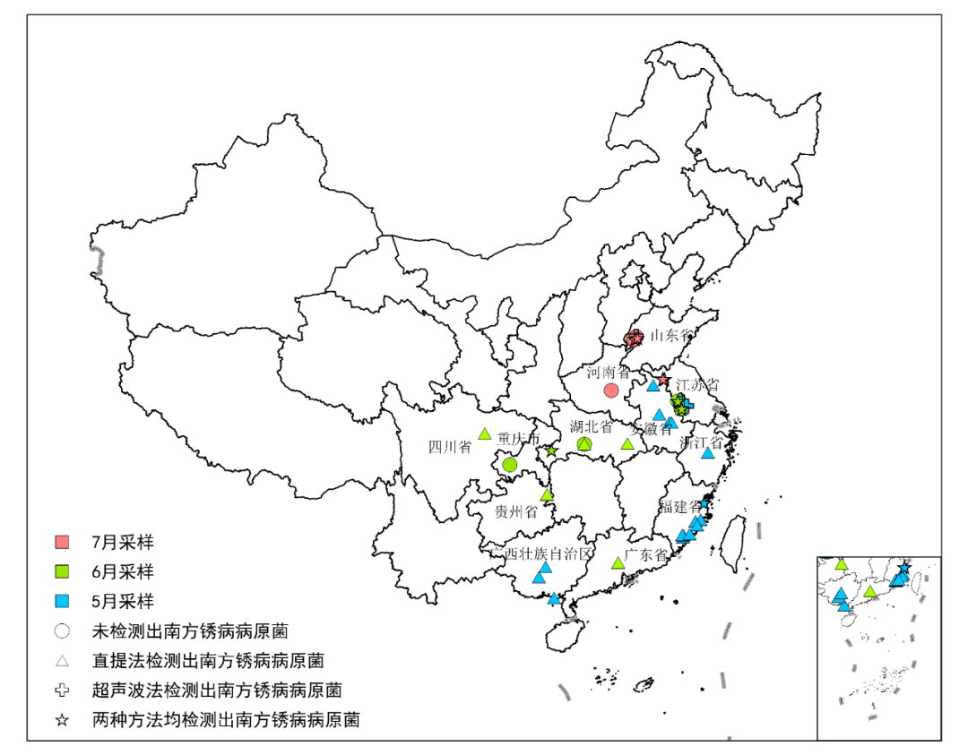 【关注】小心玉米南方锈病在黄淮海地区暴发盛行-行业动态-不朽情缘
