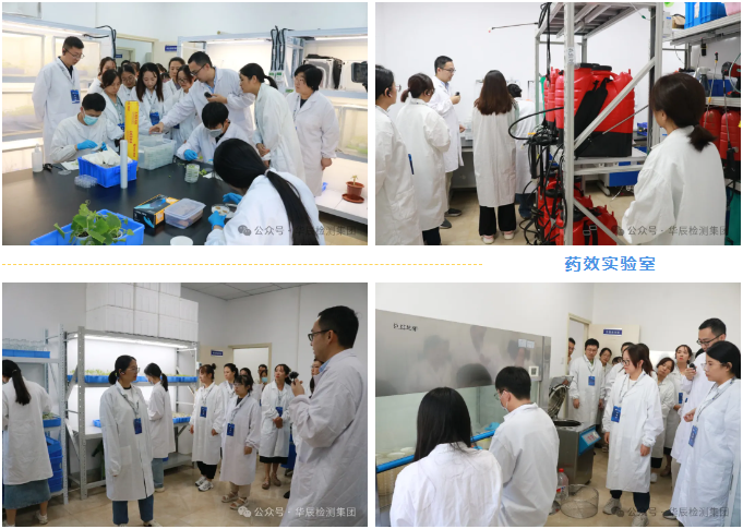 不朽情缘乐成举行农药挂号试验手艺分享交流现场会（第八期）-企业新闻-不朽情缘