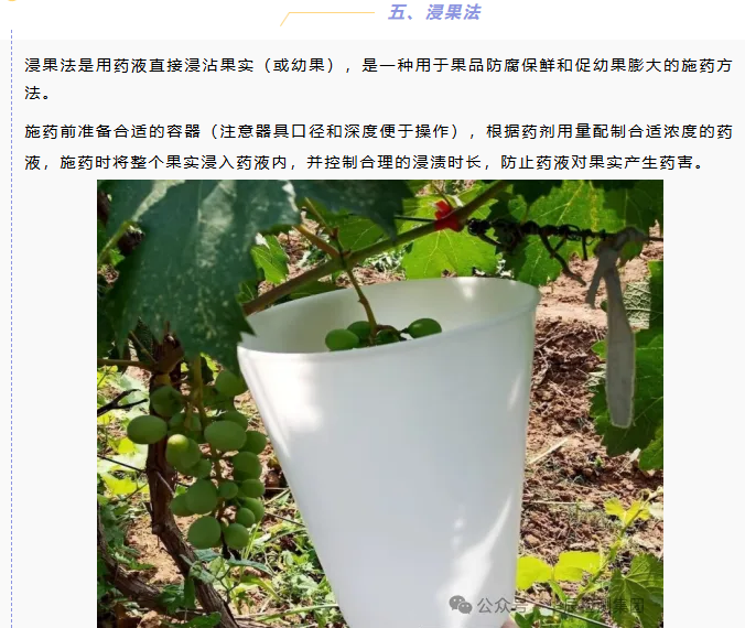 坚决珍藏！残留田间试验常见的6种施药要领-行业动态-不朽情缘
