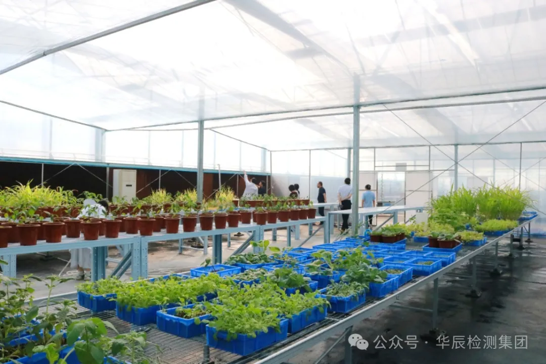深化战略相同，，，，夯实互信之基——永农生物科学有限公司向导一行莅临不朽情缘考察交流-企业新闻-不朽情缘