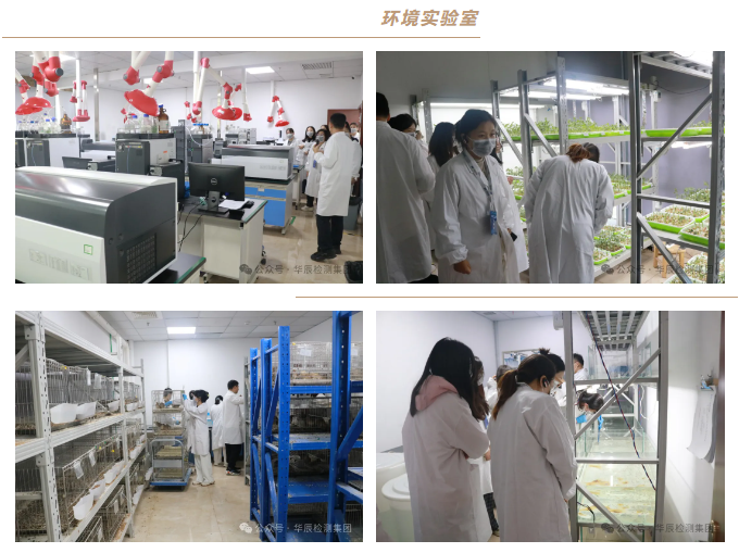不朽情缘乐成举行农药挂号试验手艺分享交流现场会（第九期）-企业新闻-不朽情缘