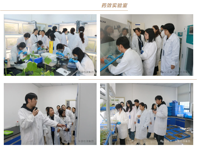 不朽情缘乐成举行农药挂号试验手艺分享交流现场会（第九期）-企业新闻-不朽情缘