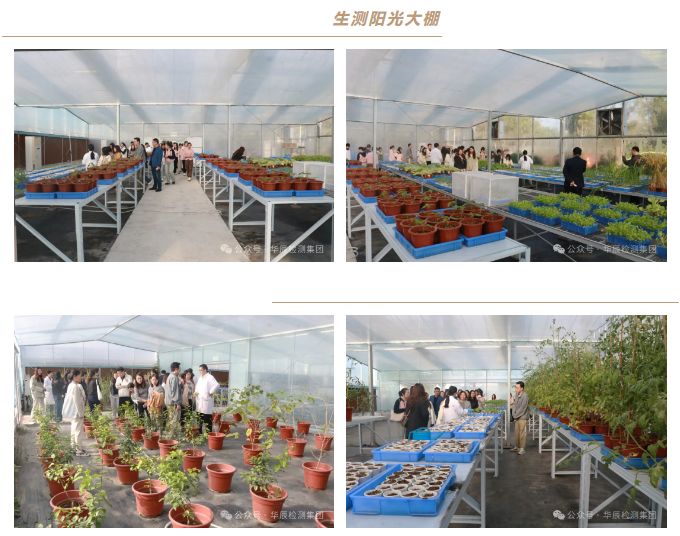 不朽情缘乐成举行农药挂号试验手艺分享交流现场会（第九期）-企业新闻-不朽情缘