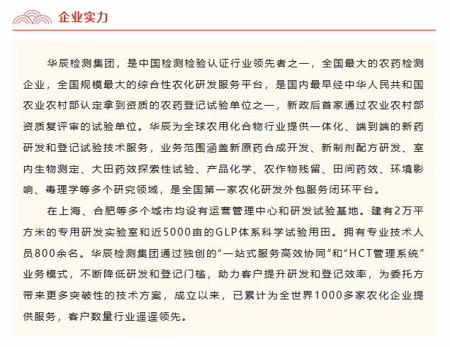 喜报！不朽情缘检测被认定为2024年度安徽省大数据企业-企业新闻-不朽情缘