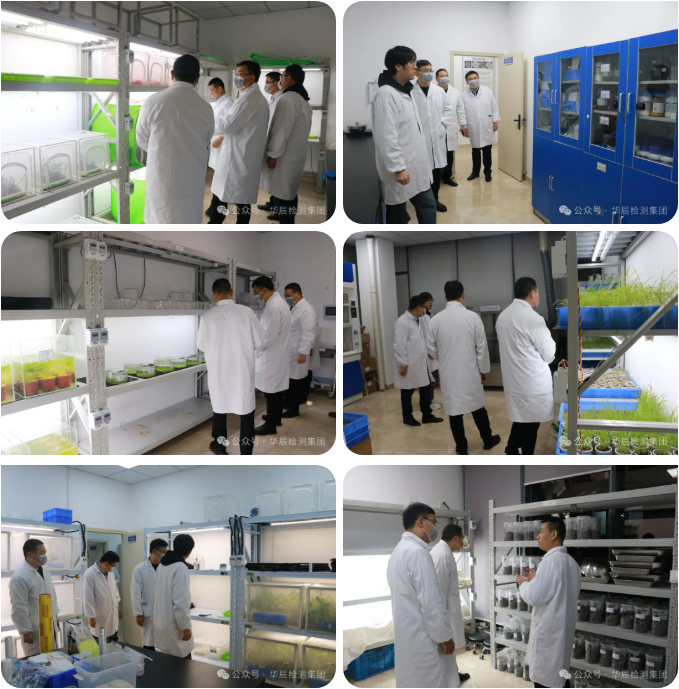 热烈接待渭南东旺农华生物科技有限公司向导一行莅临不朽情缘考察交流-企业新闻-不朽情缘
