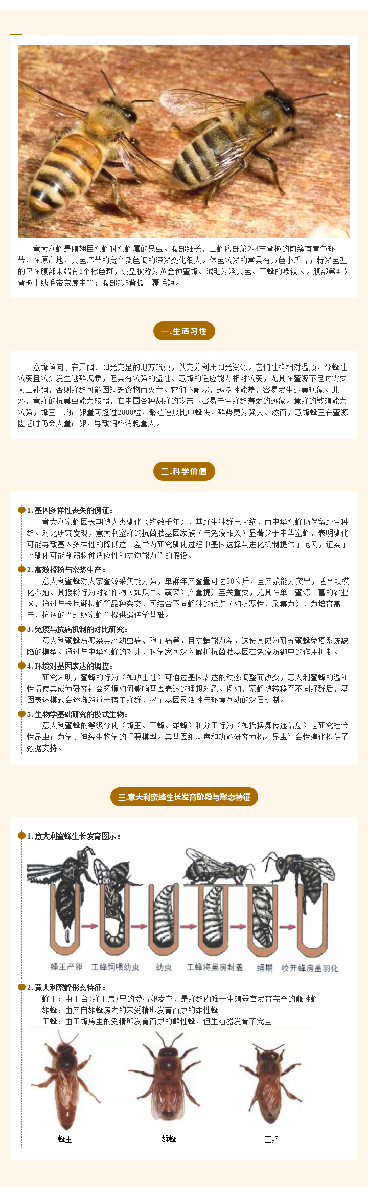 农药情形影响试验生物试材先容-意大利蜜蜂-行业动态-不朽情缘